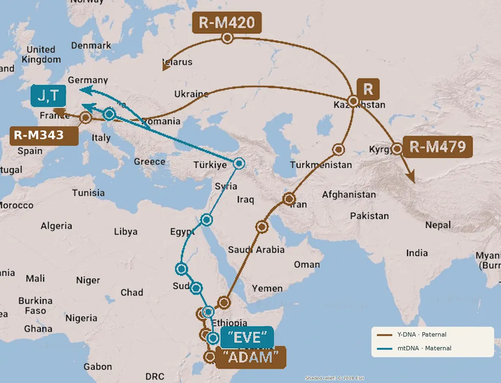 Karte der väterlichen und mütterlichen DNA-Wanderungsrouten von Ostafrika über die Türkei nach Europa und Zentralasien.